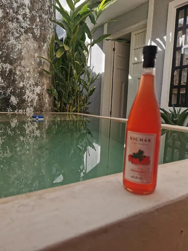 Chichipato Casa Boutique Villa Merida Mexico