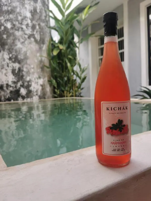 Chichipato Casa Boutique Villa Merida Holiday home