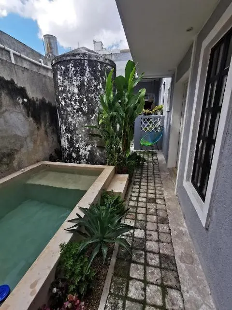 Chichipato Casa Boutique Villa Merida